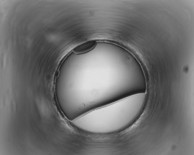 X0000100201129200805300741