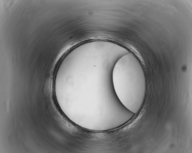 X0000100201130200805300741