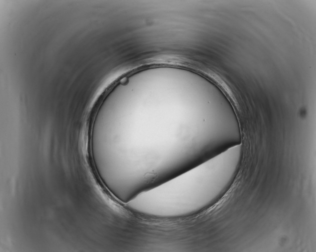 X0000100201131200805300741