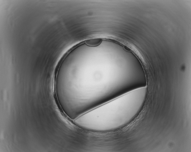 X0000100201132200805300741