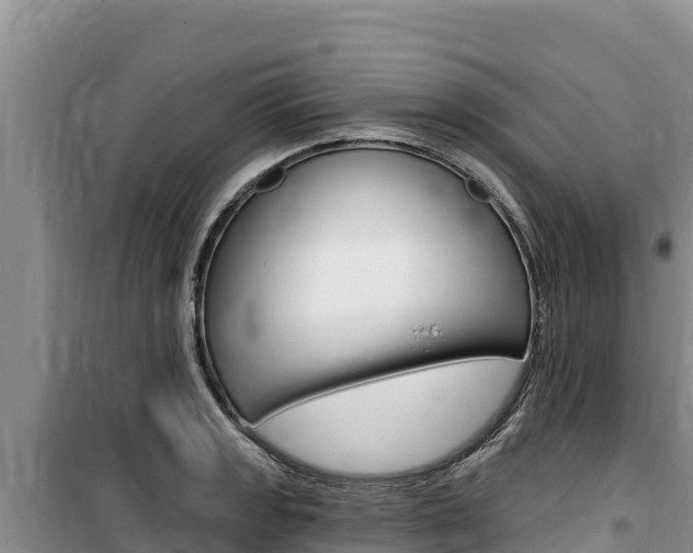 X0000100201133200805300741