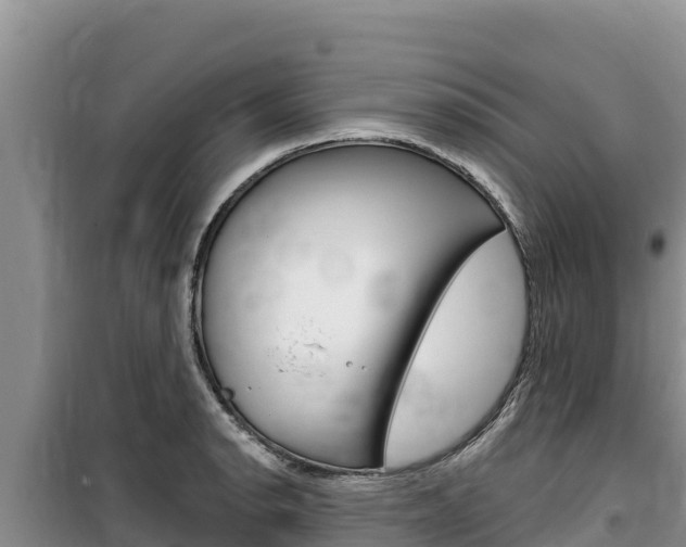 X0000100201134200805300741