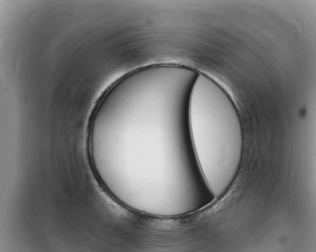 X0000100201135200805300741