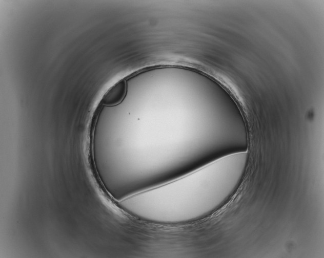 X0000100201136200805300741