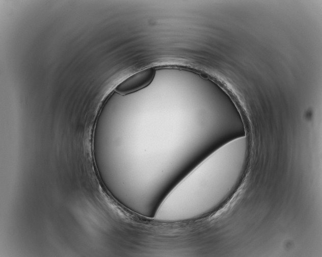 X0000100201137200805300741