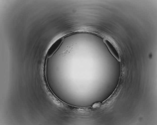 X0000100201138200805300741