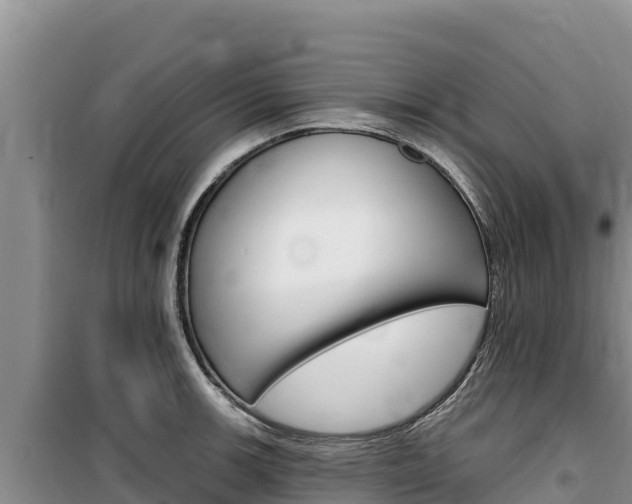 X0000100201139200805300741