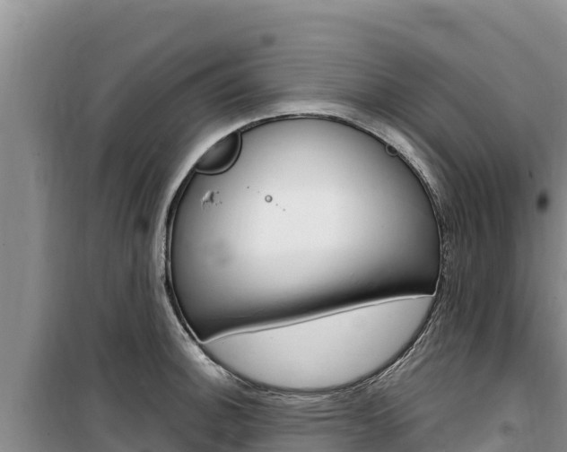 X0000100201140200805300741
