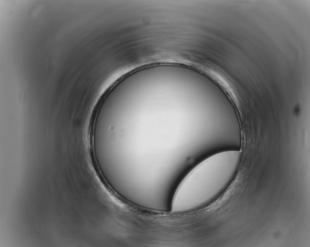 X0000100201141200805300741