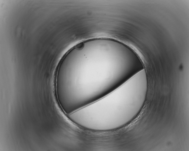 X0000100201142200805300741