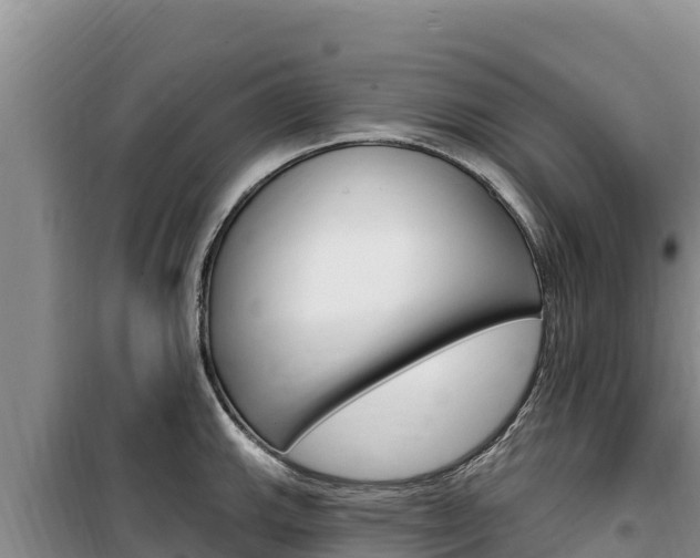 X0000100201143200805300741