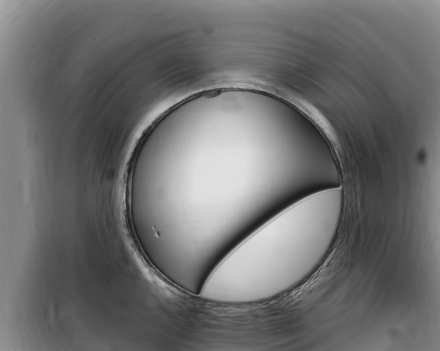 X0000100201144200805300741