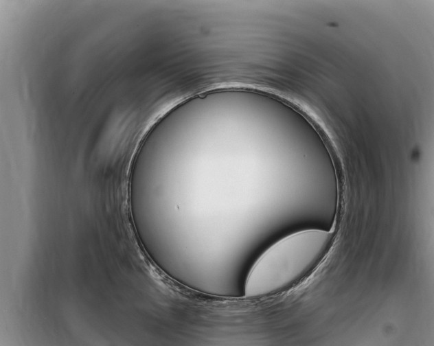 X0000100201145200805300741
