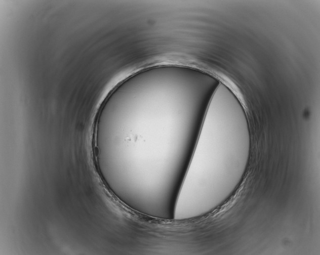 X0000100201146200805300741
