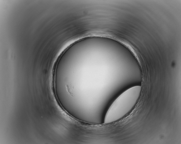X0000100201147200805300741