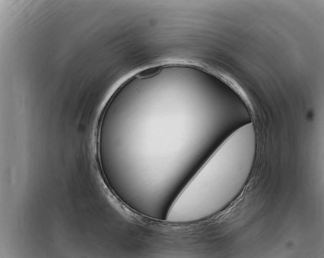 X0000100201148200805300741