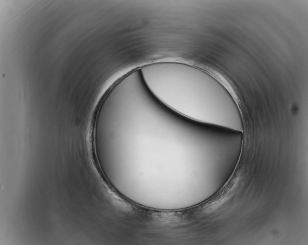 X0000100201149200805300741