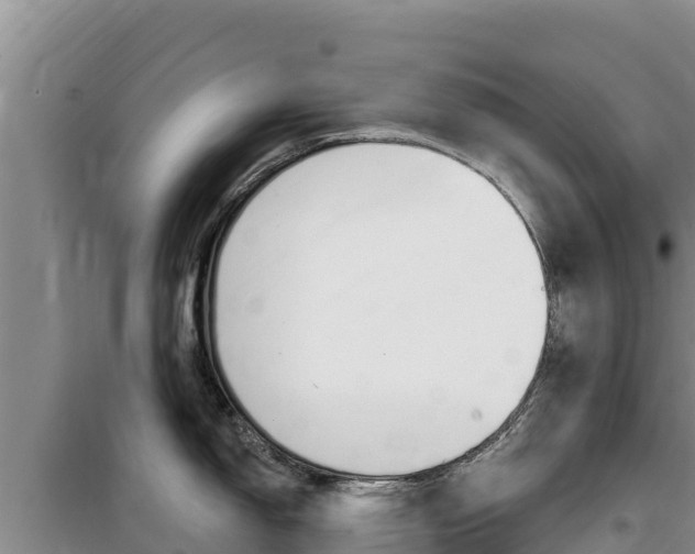 X0000100201150200805300741