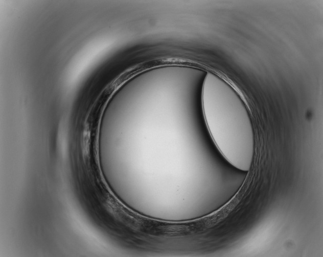 X0000100201151200805300741