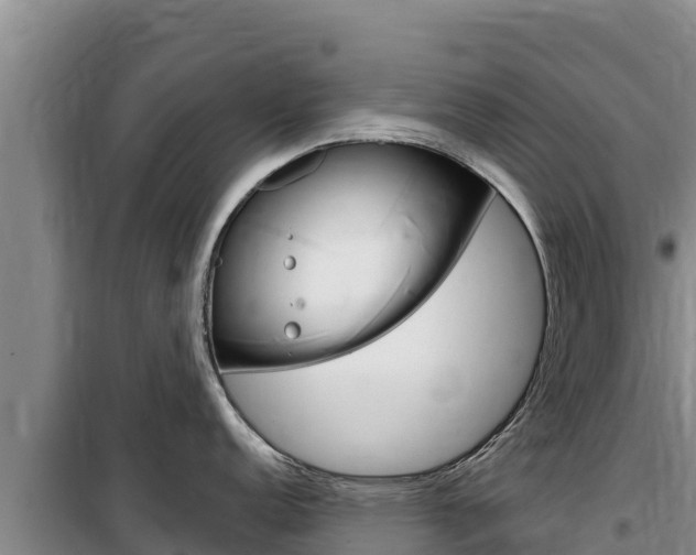 X0000100201152200805300741
