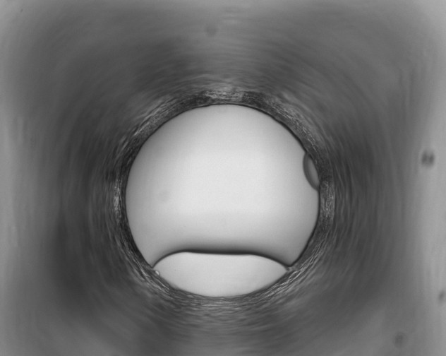 X0000100201154200805300741