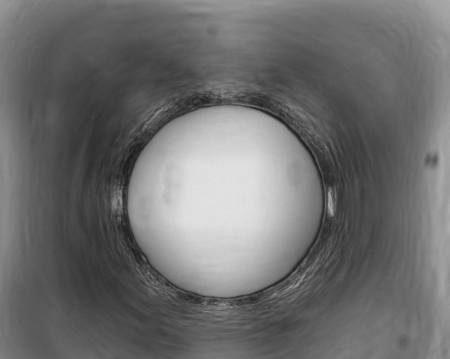 X0000100201155200805300741