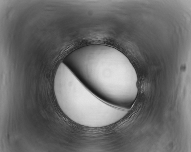 X0000100201156200805300740