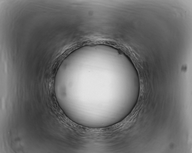 X0000100201157200805300740