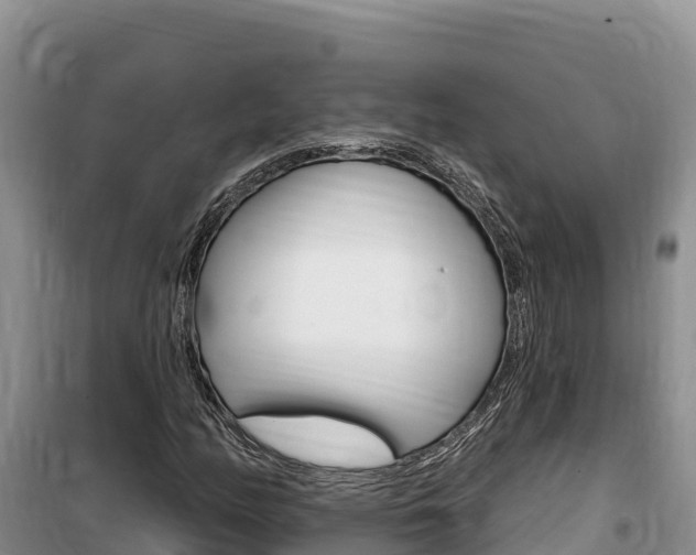 X0000100201158200805300740