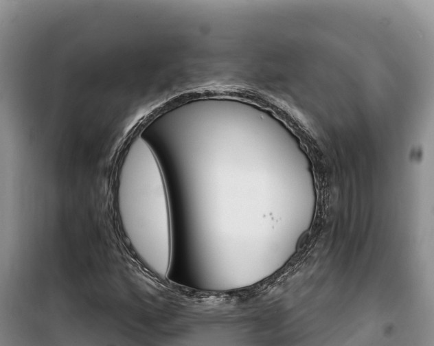 X0000100201160200805300740