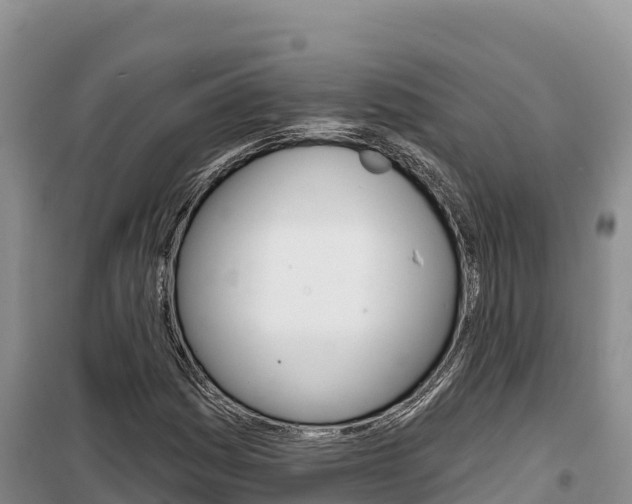 X0000100201161200805300740