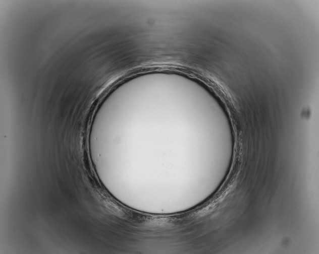 X0000100201162200805300740