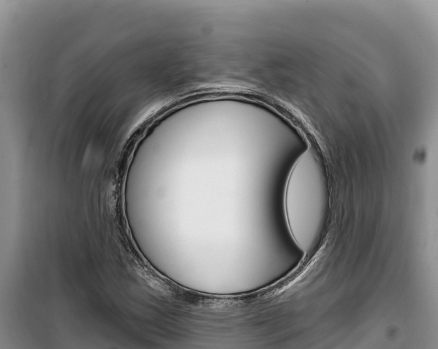 X0000100201163200805300740