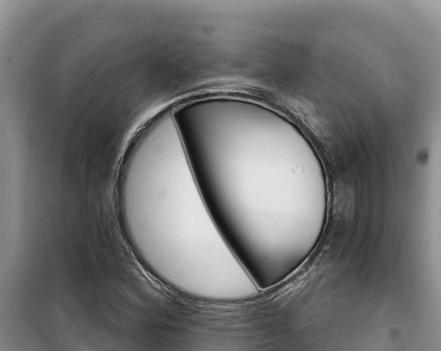 X0000100201164200805300740