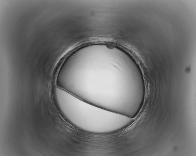 X0000100201165200805300740