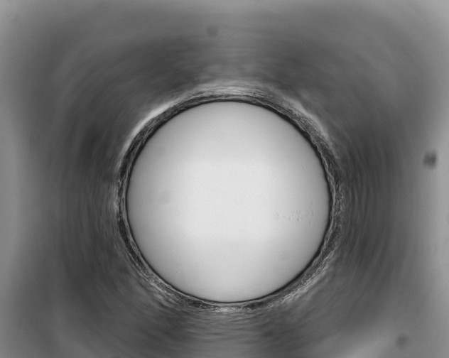 X0000100201166200805300740