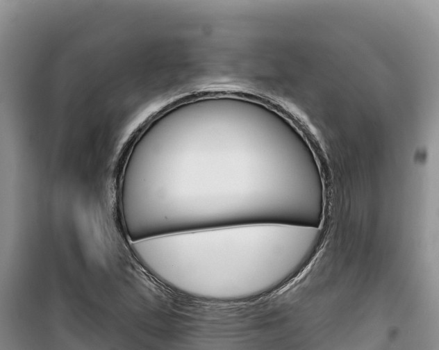 X0000100201167200805300740