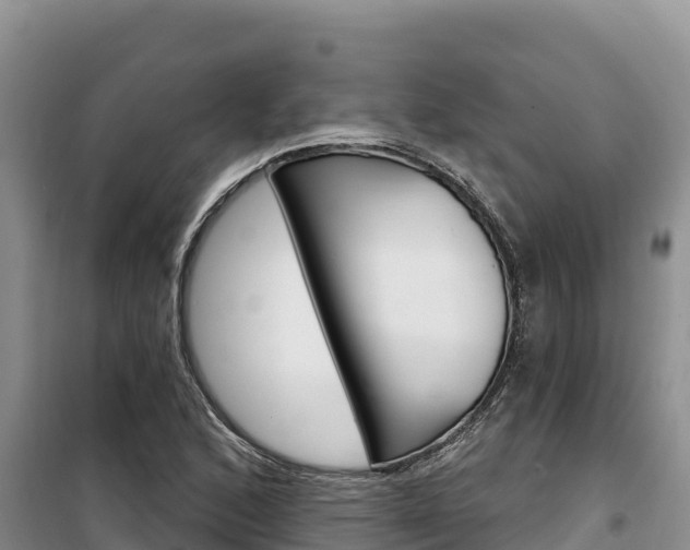 X0000100201168200805300740