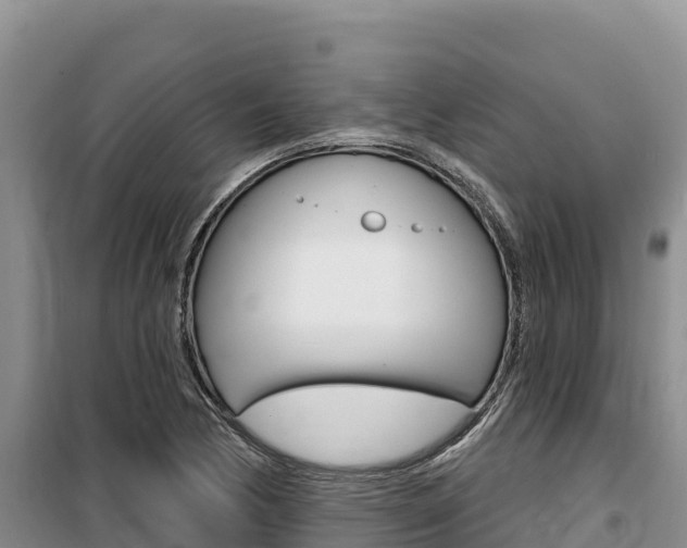 X0000100201170200805300740