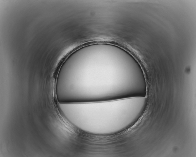 X0000100201171200805300740