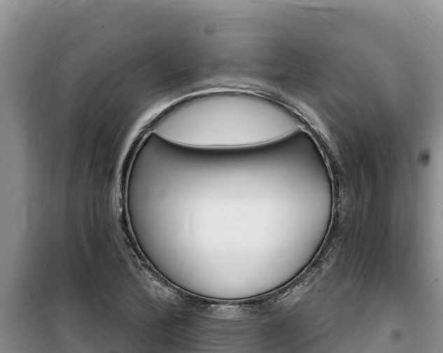 X0000100201172200805300740