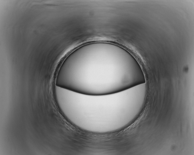 X0000100201173200805300740