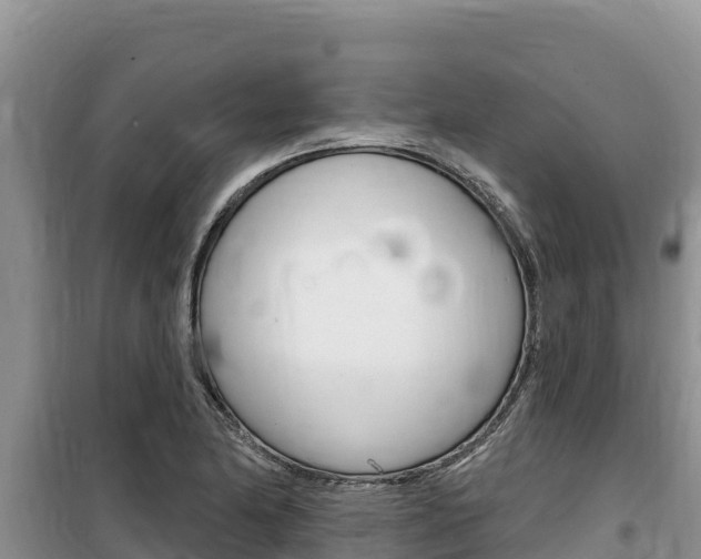 X0000100201174200805300740