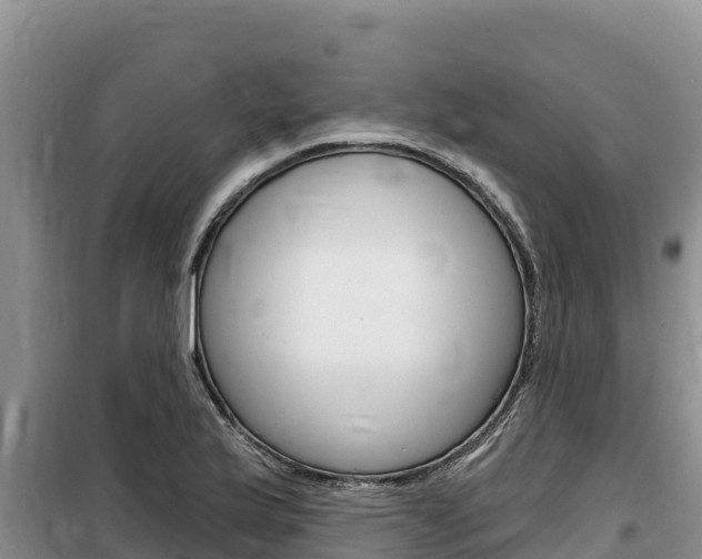 X0000100201175200805300740