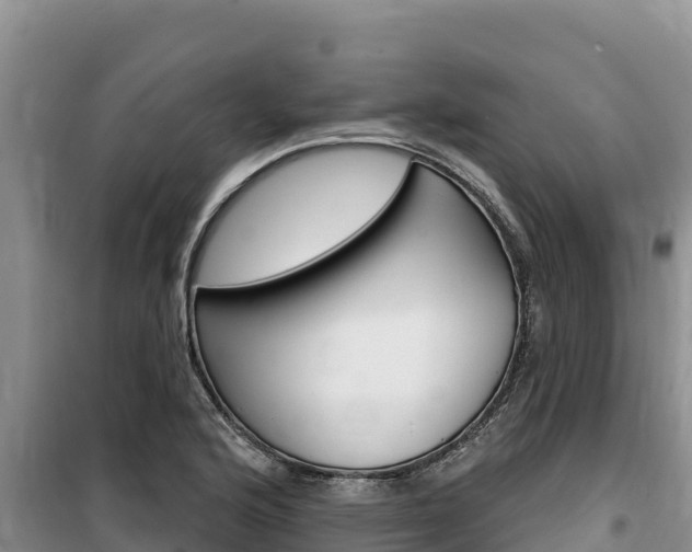 X0000100201176200805300740