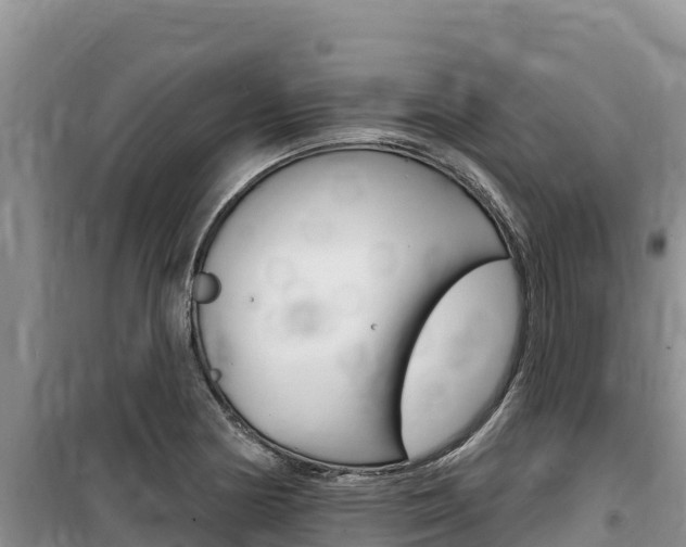 X0000100201178200805300740
