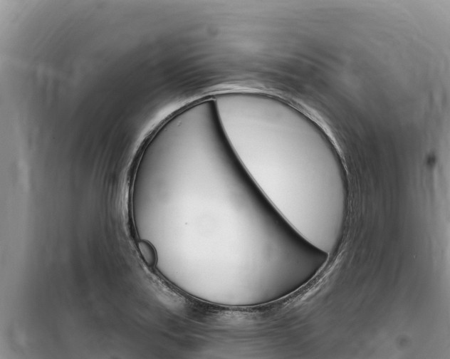 X0000100201179200805300740