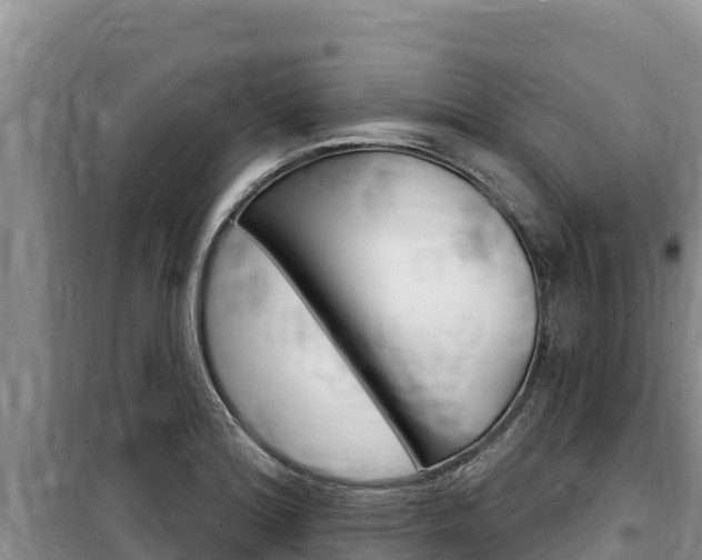 X0000100201180200805300740