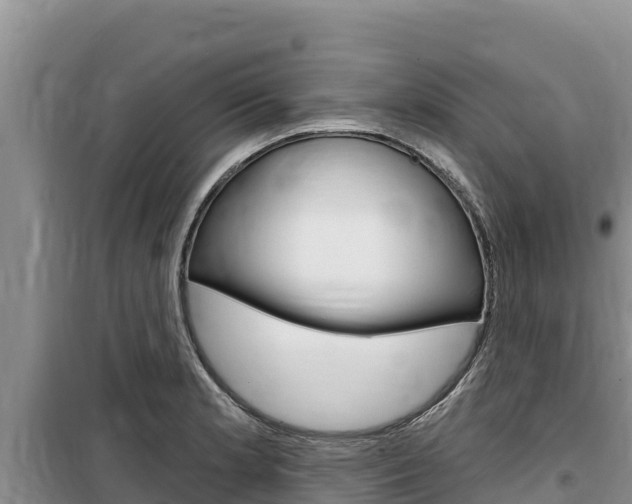 X0000100201181200805300740