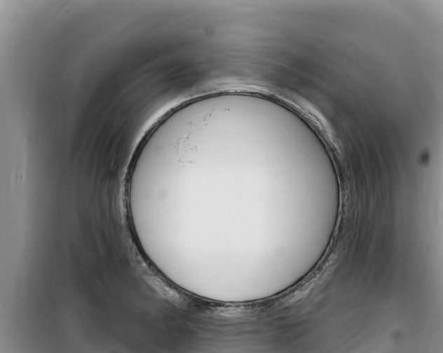 X0000100201182200805300740